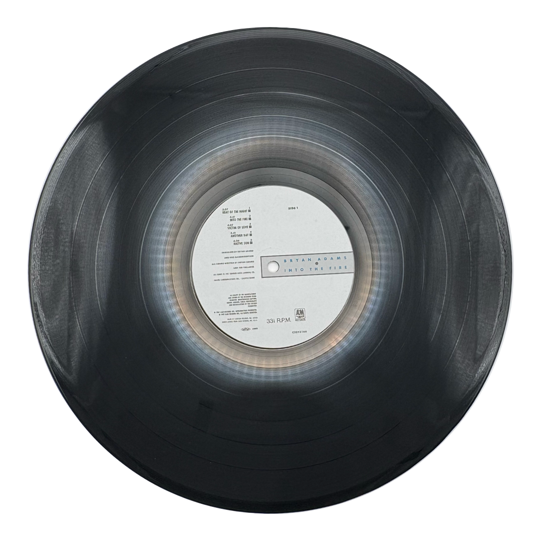 Bryan Adams – Into The Fire