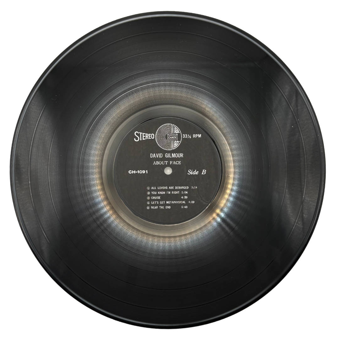 David Gilmour – About Face